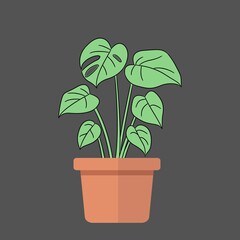 Plant in the pot illustration image Set of 5 images in 1 design