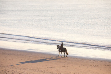 woman riding horse on sea beach
