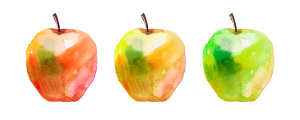 Watercolor realistic iilustrations of red, yellow and green apples isolated on white background