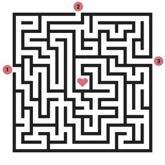 conundrum maze find the only way to the heart