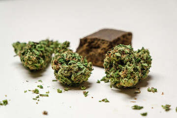 High quality marijuana, cannabis, weed buds and a piece of dry hashish on a white background