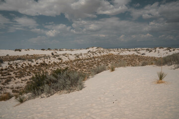 White Sands National Park in New Mexico