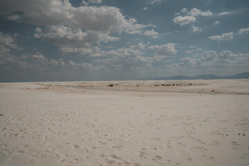 White Sands National Park in New Mexico