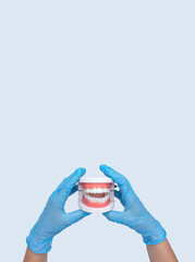 Creative medical dentistry. Dental Teeth Model dentures in Female dentist hand in blue medical gloves.