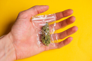 Male hand holds a plastic bag full of quality cannabis, marijuana, weed.