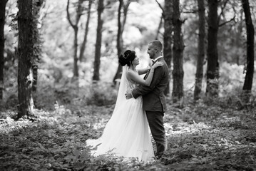 wedding walk of the bride and groom in the deciduous forest in summer