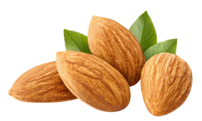 Delicious almonds cut out