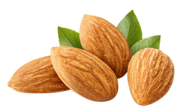 almond connection | Stable Diffusion