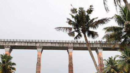 ancient bridge in between the forests