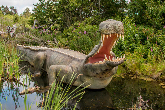 Giveskud, Denmark - 16 juli 2019: Sarcosuchus was probably the largest crocodile ever lived on earth. Dinosaurs by nature believe sizes as they were when they were alive.