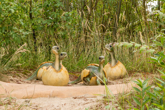 Giveskud, Denmark - 16 juli 2019: Dinosaurs in eggs. Dinosaurs by nature believe sizes as they were when they were alive.