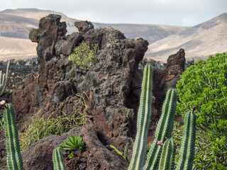 Die Kanareninsel Lanzarote in Spanien
