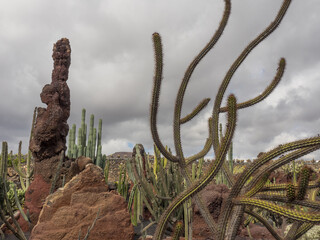 Die Insel Lanzarote in spanien