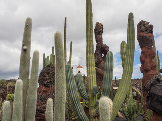 Die Kanareninsel Lanzarote in Spanien