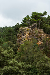 imagen de una monta&ntilde;a de rocas con &aacute;rboles encima, rodeada de &aacute;rboles verdes con el cielo nublado 