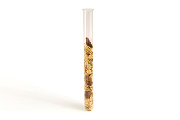 Nutritious muesli in a glass test tube