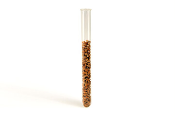 Wheat grains in a glass test tube white background