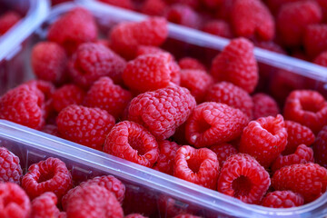 Fresh juicy raspberries in booties