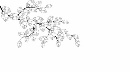 Gentle floral background from flower branches and buds, flower arrangement. Hand drawing. For stylized decor, invitations, cards, posters, flyers, backgrounds, as clipart