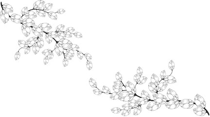 Gentle floral background from flower branches and buds, flower arrangement. Hand drawing. For stylized decor, invitations, cards, posters, flyers, backgrounds, as clipart © Lesia