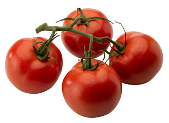 Sicilian Smooth Round Tomato Coppery in Clusters