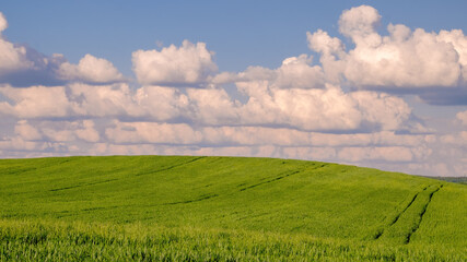 Rain clouds over an agricultural field