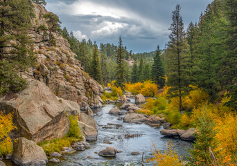 Beautiful Creek Cutting a Gorge in the 11 Mile Canyon of Colorado Being Enjoyed by a Flyfisherman.