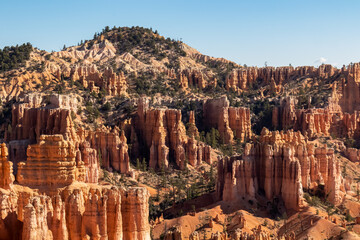 Panoramic aerial view on sandstone rock formations on Fairyland loop hiking trail in Bryce Canyon National Park, Utah, UT, USA. Looking at pine tree forest and hoodoo rocks in natural amphitheatre