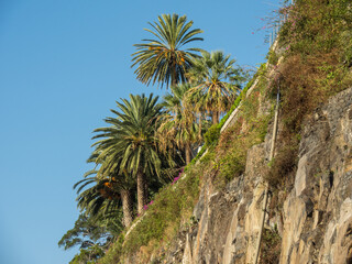 Fototapeta na wymiar Funchal und die Insel Madeira