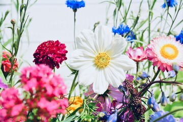 Wunderschöne Sommer Blumen Wiese  vor weißer Holzwand - Grußkarte Sommerblumen, Wildblumen	
