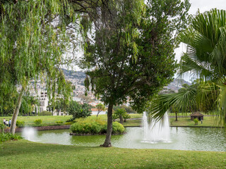 Funchal und die Insel Madeira