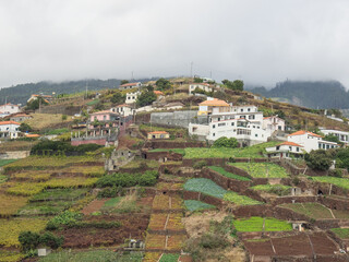 Die Insel Madeira