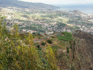 Die Insel Madeira