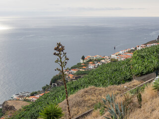 Die Insel Madeira