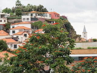 Die Insel Madeira