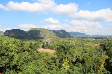 Fototapeta na wymiar Landscape of the Vinales Valley in Cuba, Caribbean
