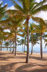 Naklejka na ściany i meble Photo of a Caribbean tropical beach, summer vacation concept.