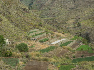 die Insel teneriffa