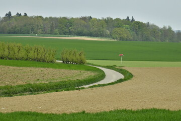 Obraz premium L'une des routes traversant les champs au début du printemps dans la belle campagne environnante de Berloz à l'ouest de Waremme 