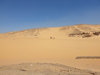 footprints in the sand