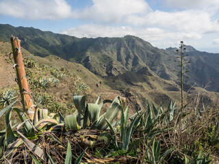 die spanische Insel Teneriffa