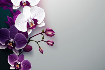 Orchids Flowers spring summer Minimalism Background with empty Copy Space for text - Orchids Backgrounds Series - Orchids background wallpaper texture created with Generative AI technology
