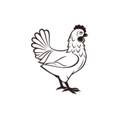 Chicken or Hen Drawn in Vintage Engraving. Female Farm Bird, Domestic Fowl, Poultry. Monochrome Illustration for Banner, Poster, and Menu. Premium Element Design Packaging on White Background