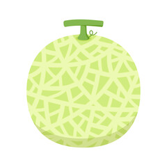 Melon vector. melon on white background. wallpaper. logo design. 