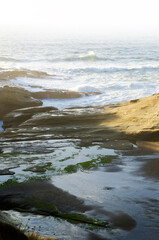 ocean waves, ocean mist, ocean waves, sea, waves, water, ocean shore, foam, coast, beach