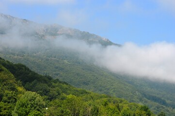 foggy morning on the mountain