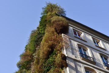 Facade of a Parisian Apartment Building Covered with Plants, France