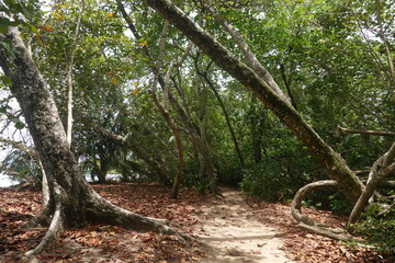 Costa Rica - Cahuita National Park
