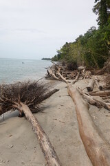Costa Rica - Cahuita National Park
