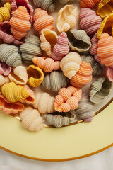dry Sea Conch Shells "Conchiglioni" multicolored Pasta in green, pink, yellow, orange
